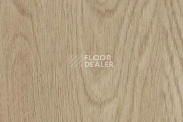 Плитка ПВХ FORBO Allura Click 60064CL5 whitewash elegant oak фото 1 | FLOORDEALER